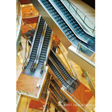 China Professional Elevator Manufacturer Escalator of Japan Technology (effective and reliable)